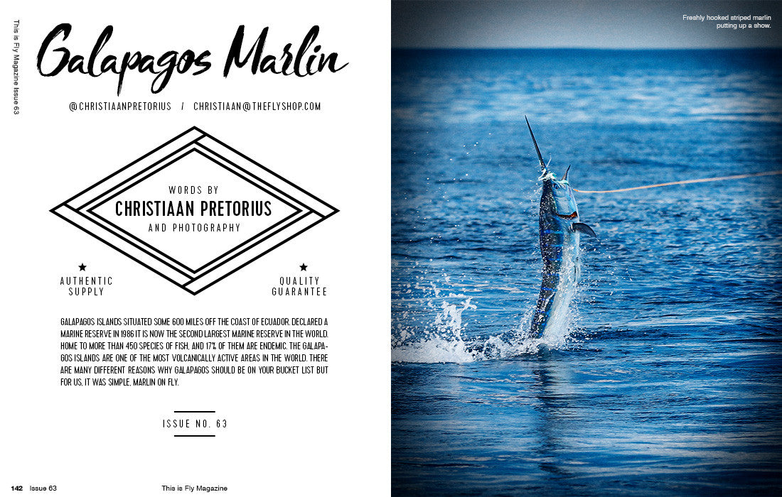 THIS IS FLY MAGAZINE ISSUE 63