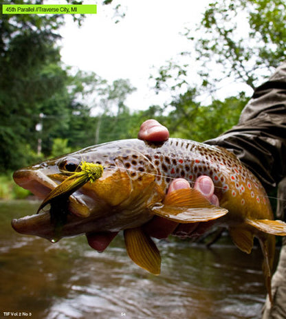 THIS IS FLY MAGAZINE ISSUE 25