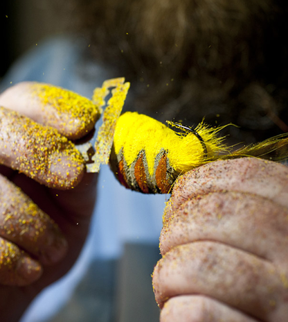 THIS IS FLY MAGAZINE ISSUE 36