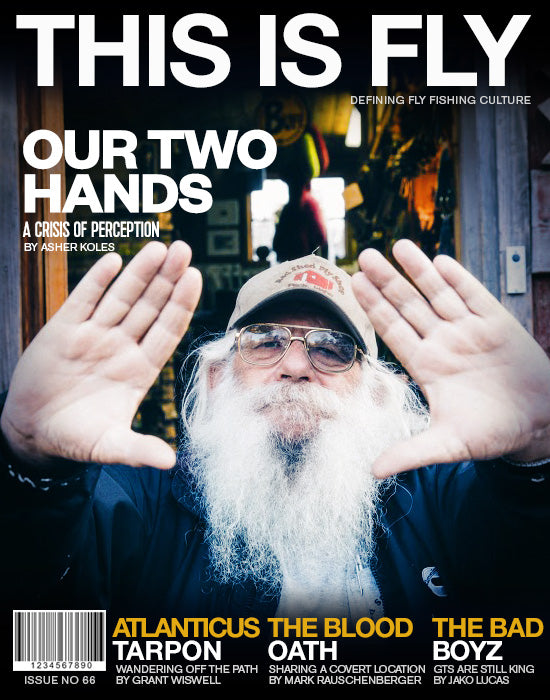 THIS IS FLY MAGAZINE ISSUE 66