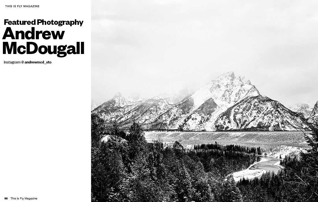 THIS IS FLY MAGAZINE ISSUE 74