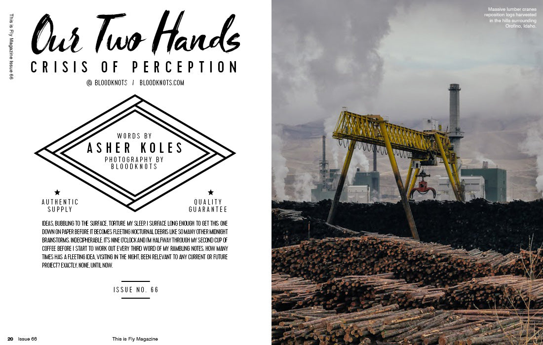 THIS IS FLY MAGAZINE ISSUE 66