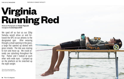 THIS IS FLY MAGAZINE ISSUE 73