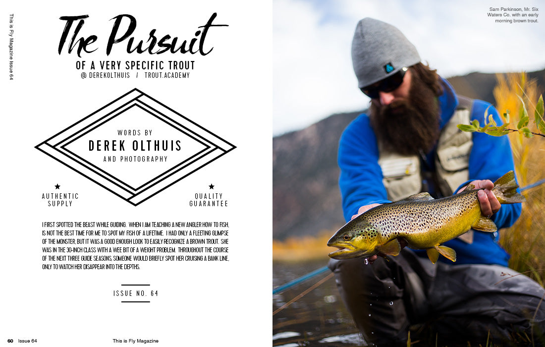 THIS IS FLY MAGAZINE ISSUE 64