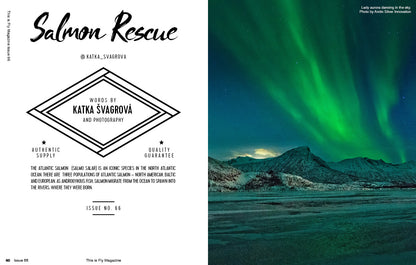 THIS IS FLY MAGAZINE ISSUE 66