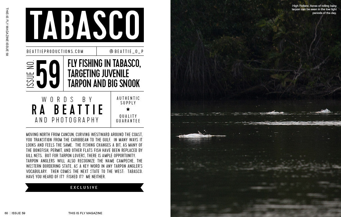 THIS IS FLY MAGAZINE ISSUE 59