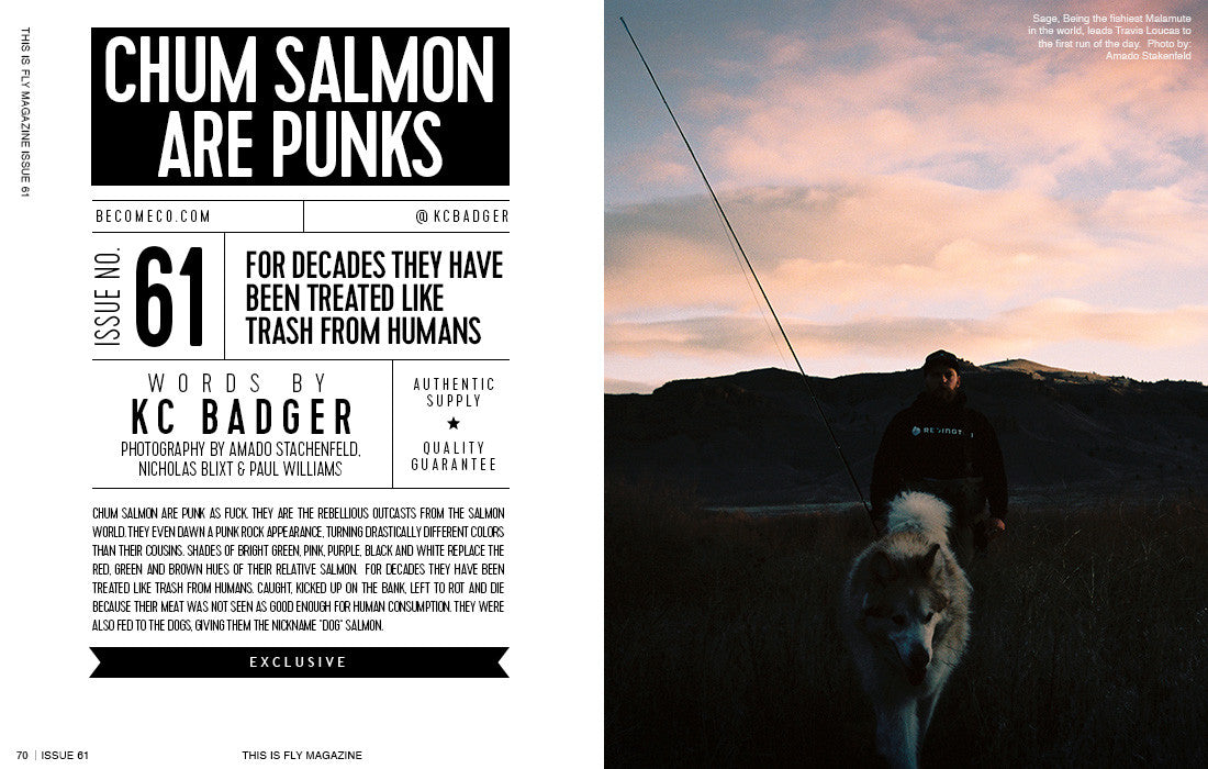 THIS IS FLY MAGAZINE ISSUE 61