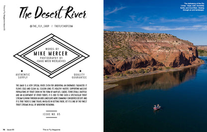 THIS IS FLY MAGAZINE ISSUE 65