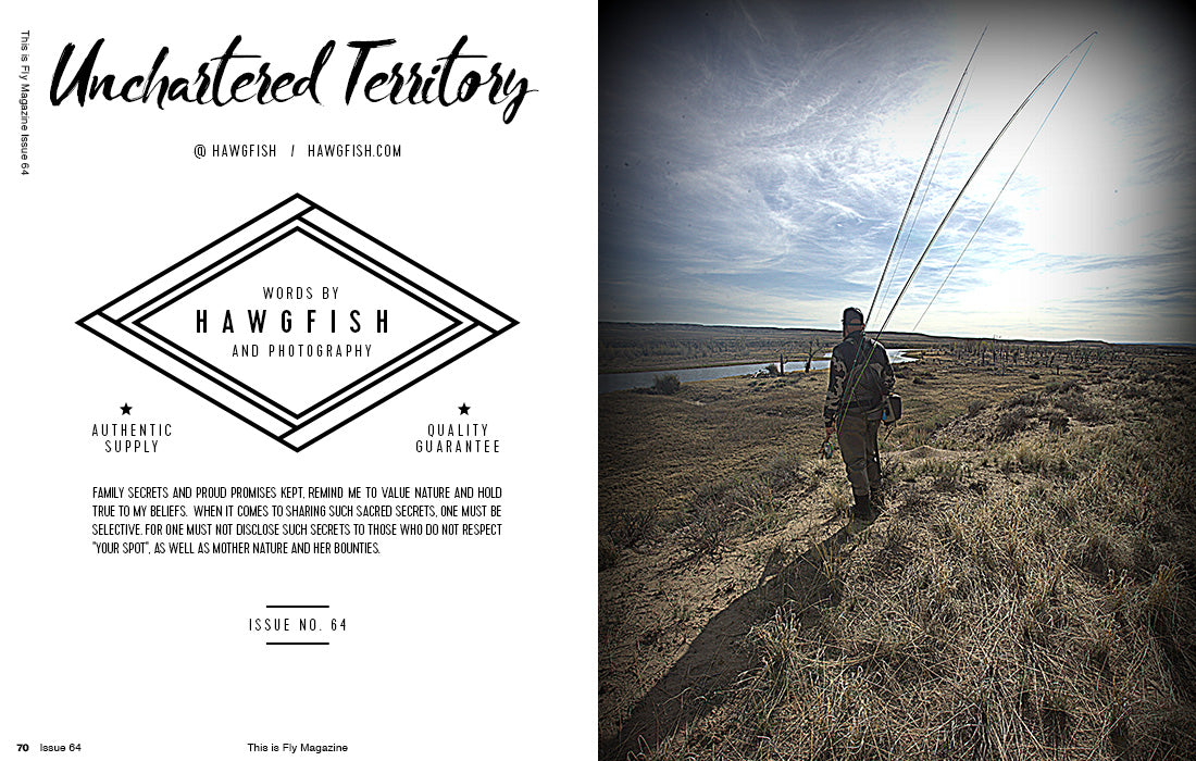 THIS IS FLY MAGAZINE ISSUE 64