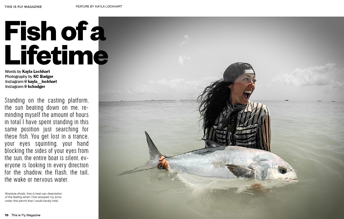 THIS IS FLY MAGAZINE ISSUE 73