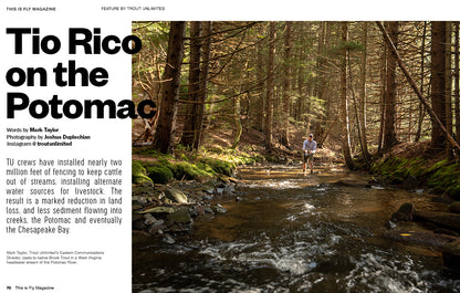 THIS IS FLY MAGAZINE ISSUE 73