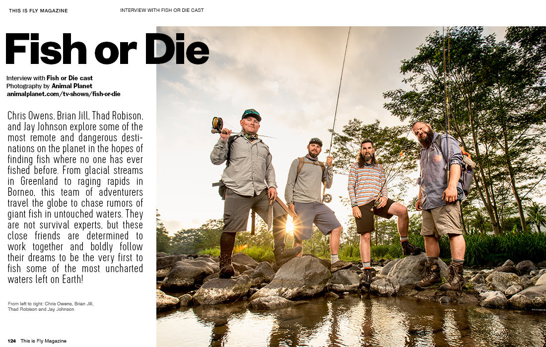 THIS IS FLY MAGAZINE ISSUE 73