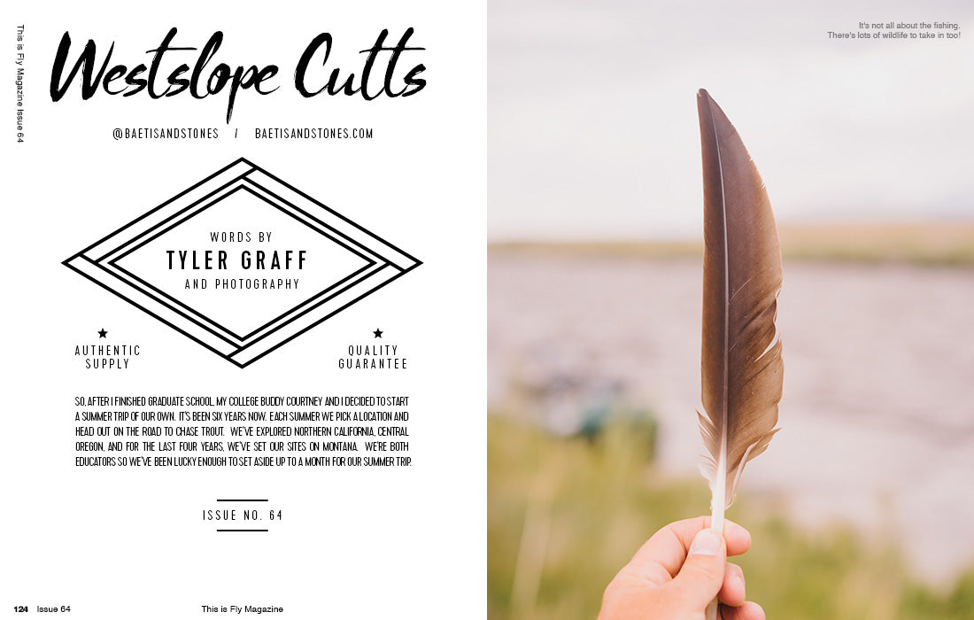 THIS IS FLY MAGAZINE ISSUE 64