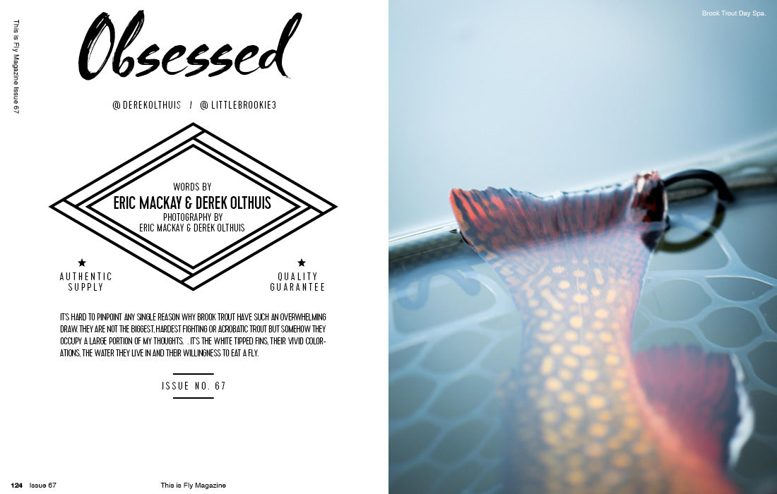 THIS IS FLY MAGAZINE ISSUE 67