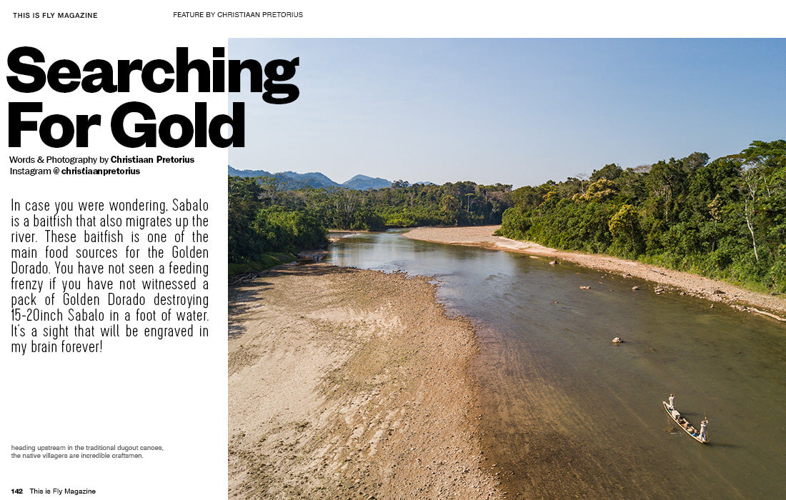 THIS IS FLY MAGAZINE ISSUE 73