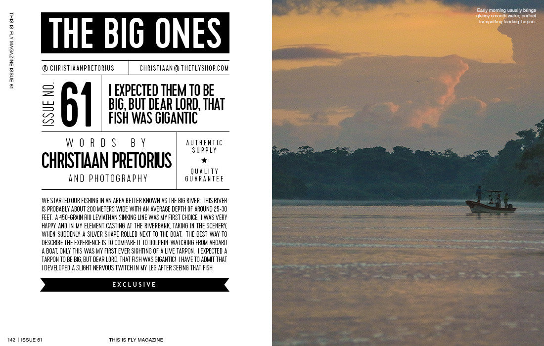 THIS IS FLY MAGAZINE ISSUE 61